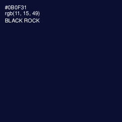 #0B0F31 - Black Rock Color Image